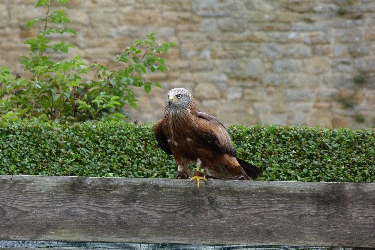 Volleyball in Bolton